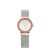 Skagen Freja Analog White Dial Women’s Watch-358SRSC